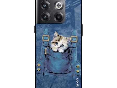 Kitty In Pocket Glass Case For OnePlus 10T 5G Fashion