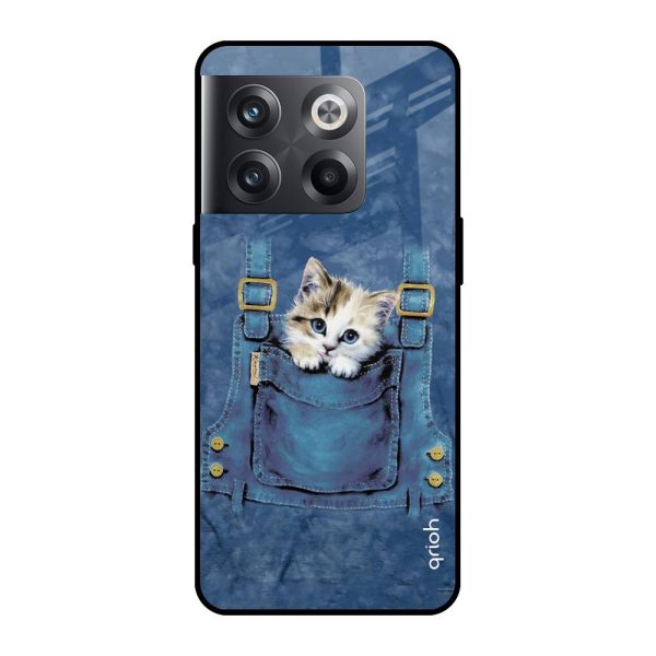 Kitty In Pocket Glass Case For OnePlus 10T 5G Fashion