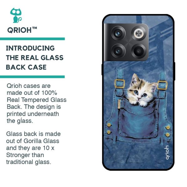 Kitty In Pocket Glass Case For OnePlus 10T 5G Fashion